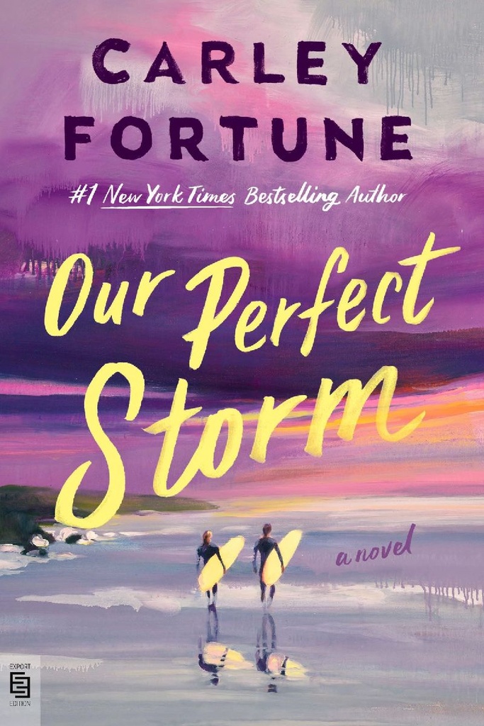 Our Perfect Storm