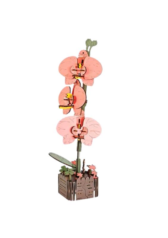 Inspire box, 3D Flower, Butterfly orchid