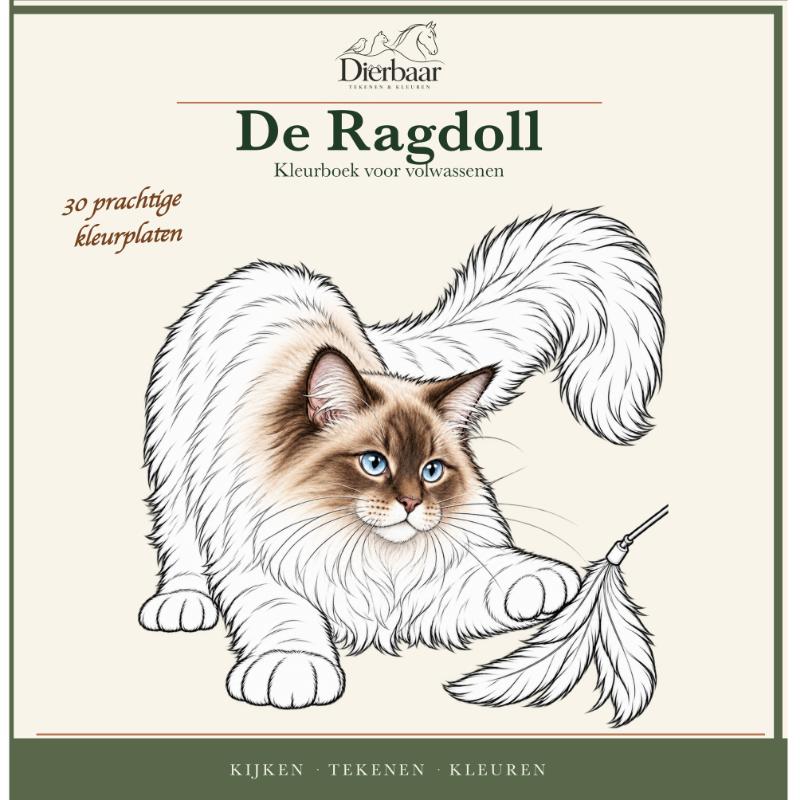 Ragdoll