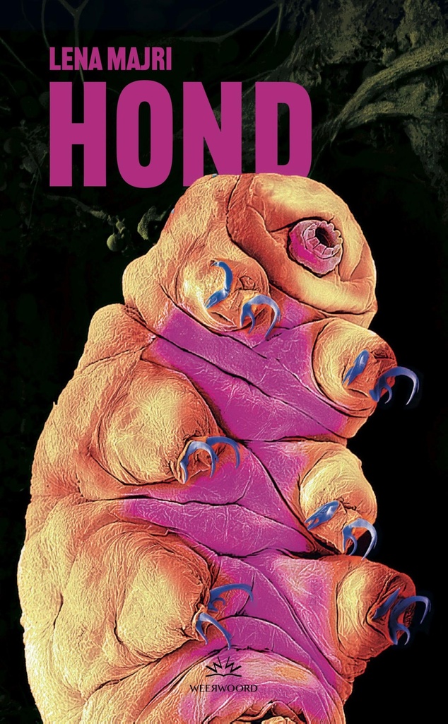 HOND
