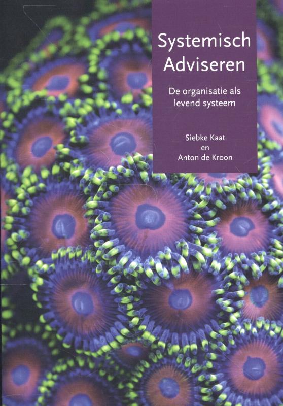 [9789077290224] Systemisch adviseren