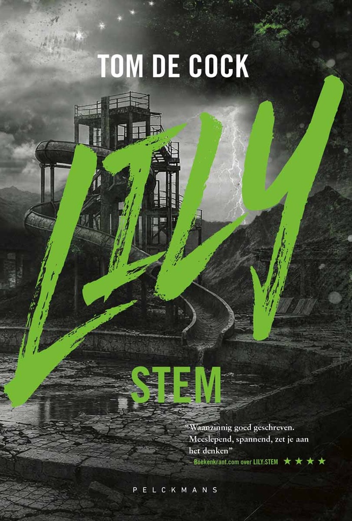 LILY: Stem